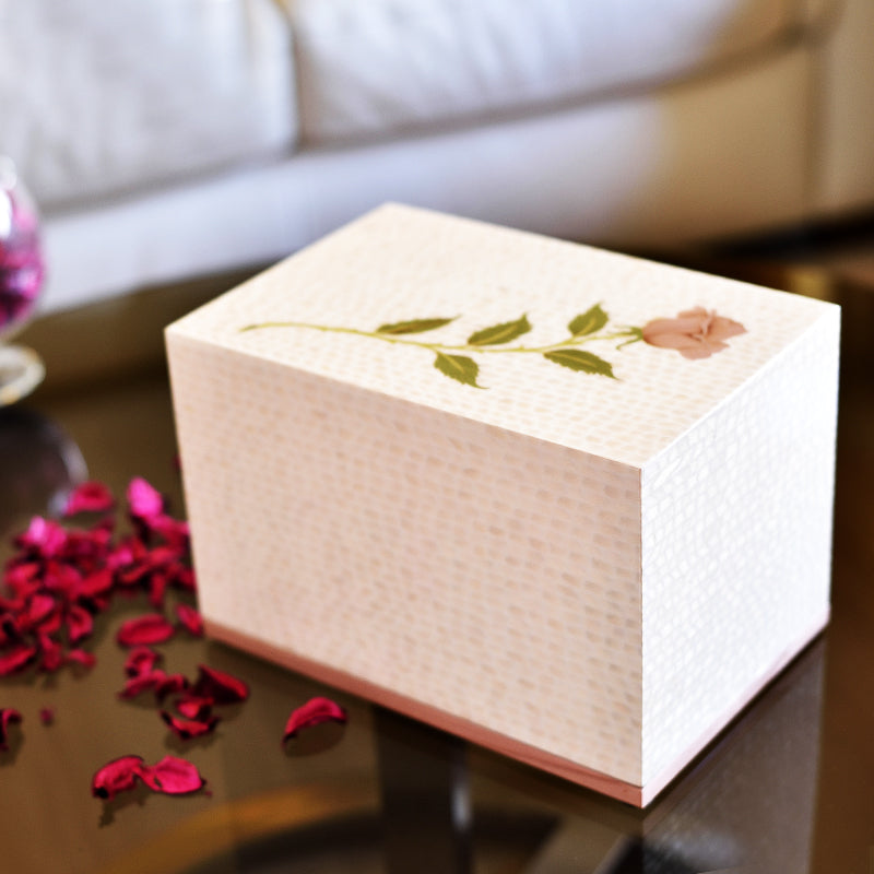 The Rose in Cream