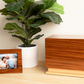 Accessory Picture Frame